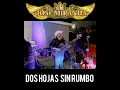 Dos hojas sin rumbo