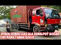 Download Lagu Aksi dobol dobol gas sopir Sulawesi gemparkan dunia lintas MP3