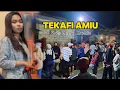 Download Lagu Lagu Wakatobi Viral ❗️ TEKAFI AMIU Voc Lhistya Muchlis || Musik Marun Mardianto