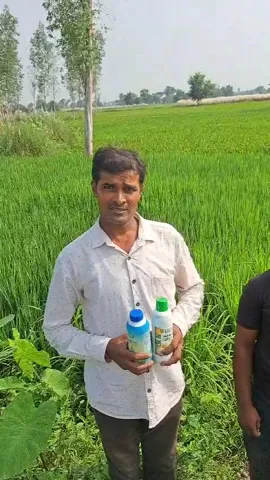 देवरिया के किसान ने धान की लहलहाती फसल का बताया कैसा राज | वनइंडिया हिंदी