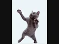Whigfield - Saturday Night