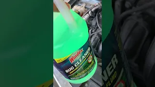 Windex washer fluid from Oreilly auto parts