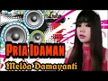 Download Lagu Pria Idaman ( Melda Damayanti Ampah )