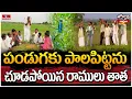Download Lagu Jordar | పండుగకు పాలపిట్టను చూడపోయిన రాములు తాత | hmtv