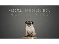 Home Protection Spirit Ally