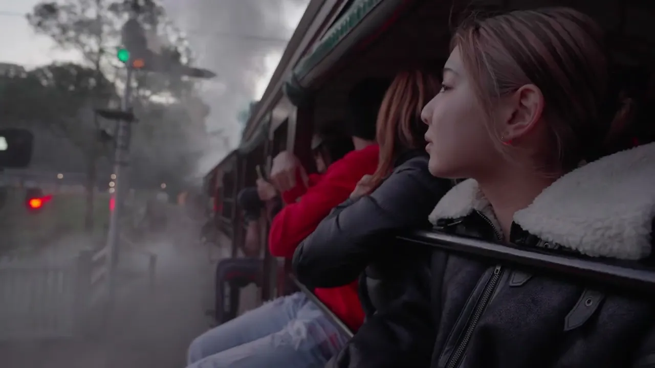 オーストラリア＜日本語ガイド付き＞　パッフィングビリー蒸気機関車とダンデノン丘陵ツアー　少人数制ツアー【MR JOHN TOURS】