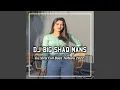 Download Lagu DJ Big Shaq Mans x Pantek Pantek Pantek