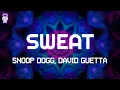 Download Lagu Snoop Dogg, David Guetta - Sweat // Lyrics