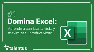 Domina Excel: Productividad y Manejo de Hojas de Cálculo