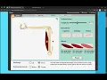 Muscles and Bones Gizmo and 1 more page Personal Microsoft Edge 2024 12 18 14 09 19