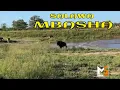 SALAWA __ MBASHA STUDIO