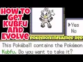 How To Get Kubfu And Evolve To Urshifu Single And Rapid Strike In Pokemon Inflamed Red