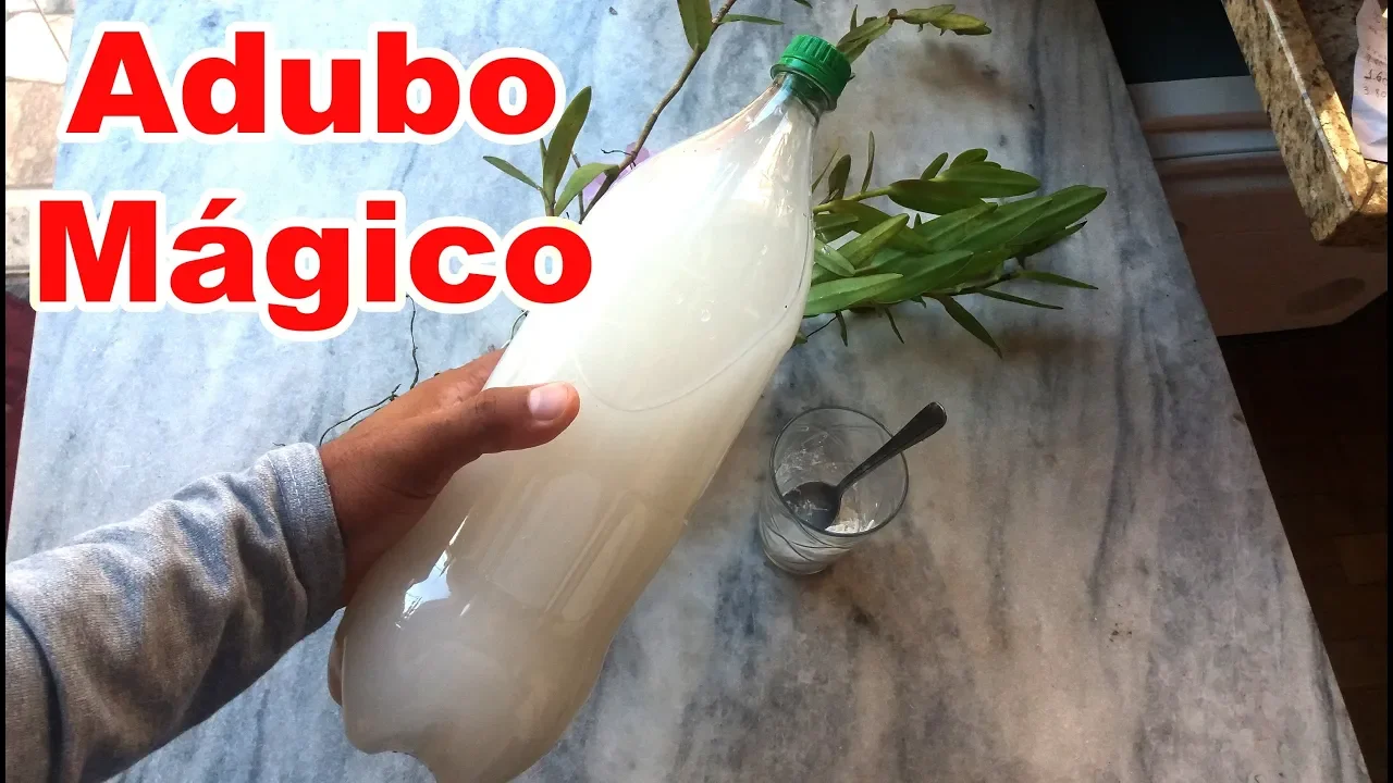 ADUBO MÁGICO PRA SUAS ORQUÍDEAS