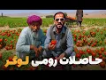 Download Lagu گزارش ویژه صالح محمد کتوازی از جع آوری حاصلات رومی در ولایت لوگر