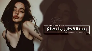 ريت القطن ما يطلع   لالا يا عمي لالا   اغاني طرب      معزوفه تيك توك   مطلوبه اكثر شيء  دندنها