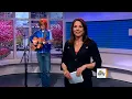 Brett Dennen's "Sydney (I'll Come Running)"