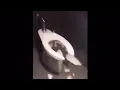 taco bell bathroom live simulation in 4k