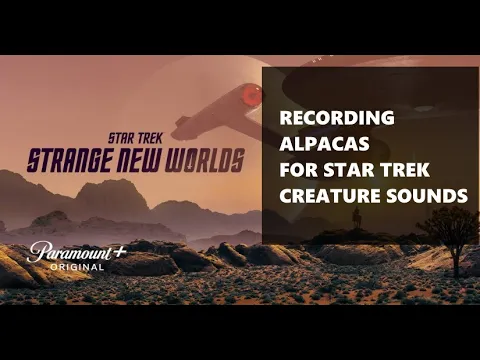 Recording a dramatic alpaca being sheared for 'Star Trek: Strange New Worlds' creature sounds: