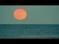 Victor Mucho - Moonlight in Visby (Trailer)