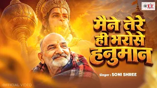 मैंने तेरे ही भरोसे हनुमान | Hanuman Ansh | Maine Tere Hi Bharose Hanuman | #Neem Karoli Baba
