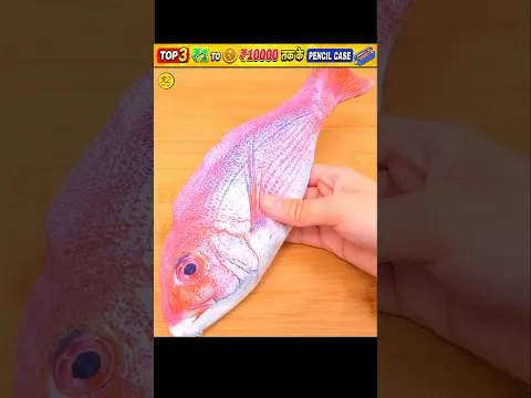 FISH 🐟🐬 PENCIL CASE 🤩🤯 | 3D HARD TOPE PENCIL CASE | 3D PENCIL CASE 😍🫨 | POUCH |@GiftooIN #shorts