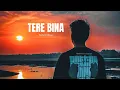 Download Lagu Tere Bina - Sonam Negi || Official Lyrical video @zoeeindia8420