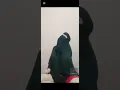 Arabic dance