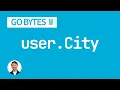 Embedded Structs in Go