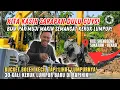 Download Lagu KASIH PAK MUJI SARAPAN❗OPERATOR SEMANGAT 30X KERUK LUMPUR BARU DI RAPIHKAN DI KALI SRENGSENG BEKASI❗