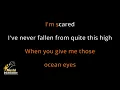 Ocean Eyes - Billie Eilish (Karaoke Songs With Lyrics - Original Key)