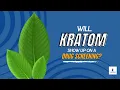 Will Kratom Show Up on a Drug Screening