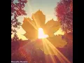 Ryan Ellis-Heart Of The Father-slowed