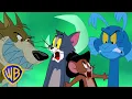 Download Lagu Tom and Jerry Monster Mayhem! | Tom \u0026 Jerry | #cartoonsforkids  @wbkids