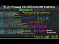 The File Explained with Examples