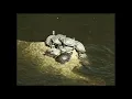 くるり - リバー