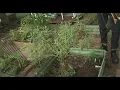 Planting Tips with Houston s Garden Guru
