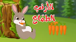قصص وحكايات قصص للأطفال رسوم متحركة قصص قبل النوم قصة الأرنب الطماع Cartoon Stories 