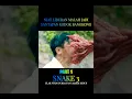 Download Lagu Kodok Bangkong pemakan manusia #shorts