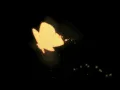 dogpark - dont lie (slowed + reverb)