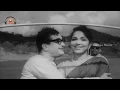 Download Lagu NTR Hit Songs | Neetilona Video Song | Vivaha Bandham Telugu Movie | Bhanumathi | Mango Music