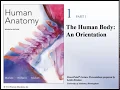 Human Anatomy Lecture - Ch 1 The Human Body