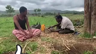 Kkkkkk Namichaa Koronaa Oso Qabu Badiyyaa Dhaqee Gabaree Galafatee Kolfan Dhumtan Caqasaa 