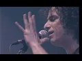Andrés Calamaro ft. Litto Nebbia - Para no olvidar. Made in Argentina. Directo 2005