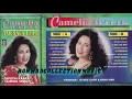 Download Lagu Camelia Malik - Andaikan (cipt.Wildan N/Taufik Apalah)