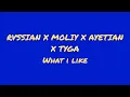 RVssian X Moliy X Ayetian X Tyga - What I Like (Official audio)