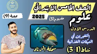 الدرس الاول علوم مفهوم التغير في الشبكات الغذائية الصف الخامس الابتدائي الترم الاول 2025 نشاط 1 3 