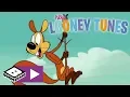 Lagu New Looney Tunes | Squeaks Show | Boomerang UK