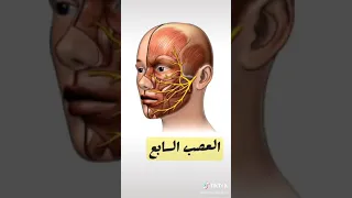 تعرفوا على اضرار ضرب الكف على الوجه دندنها