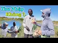 Download Lagu Công Giáp || Thầy Hiệu Trưởng Sẽ Thu Về Số Tiền Khủng Như Thế Nào ? Liệu Có Được Như Mong Muốn ?