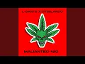 Download Lagu Malianteo 420